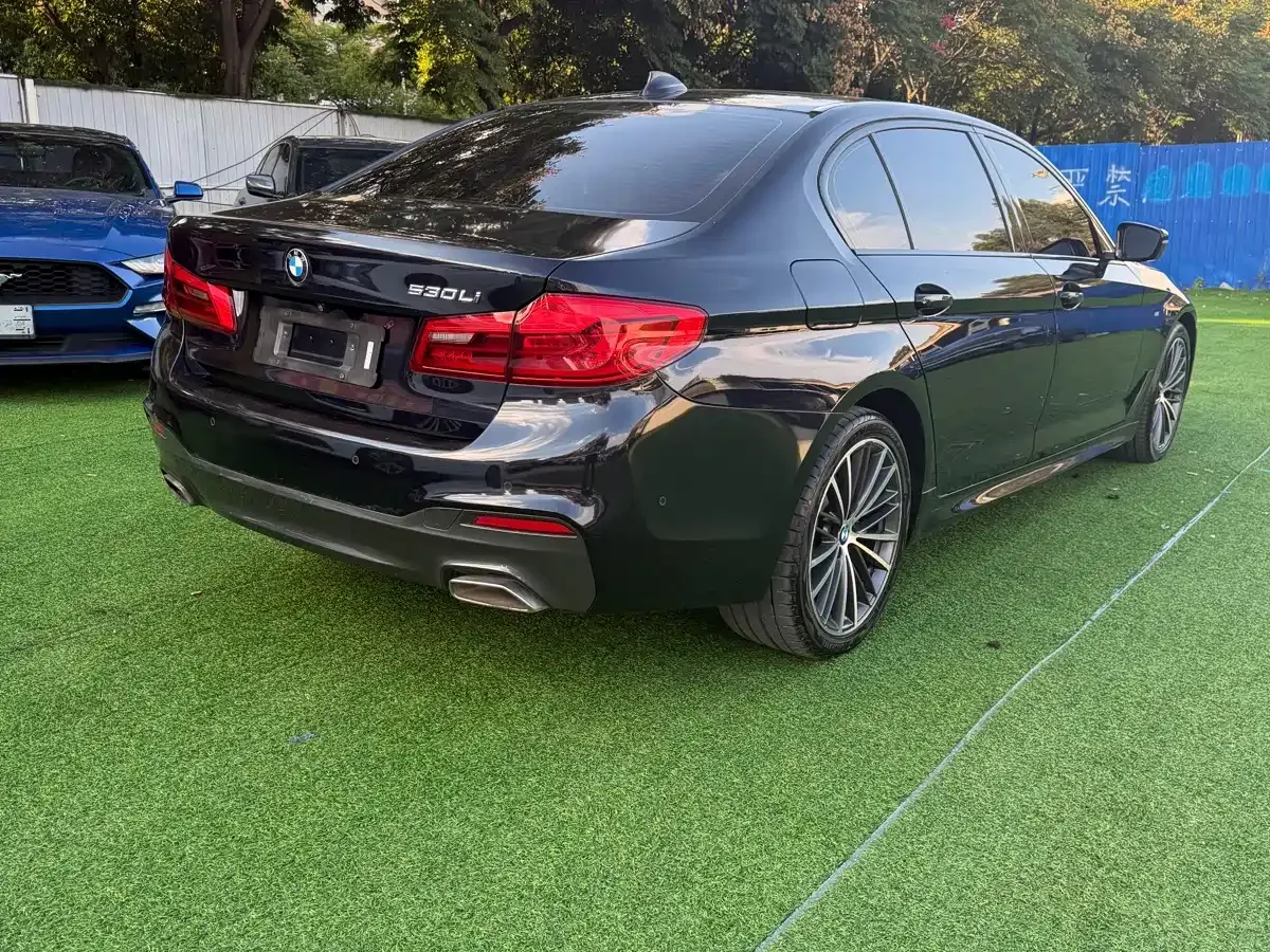 BMW 5 Series 530Li Leading M Sport Package 2020 — фото 9