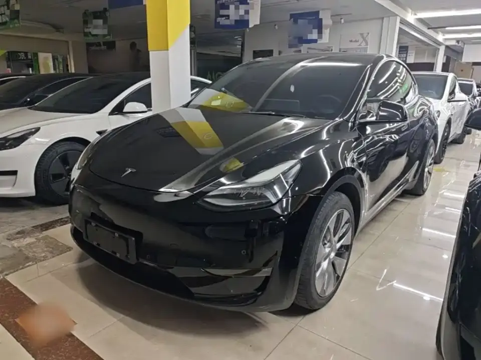 Tesla Model Y Long Range AWD 2022