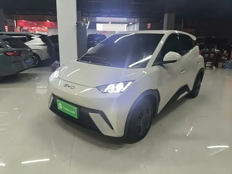 BYD Seagull 305km Vitality 2024
