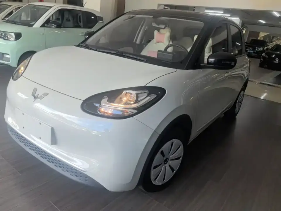 Wuling Motors Wuling Bingo Model 203km Lite Enjoyment Edition 2024
