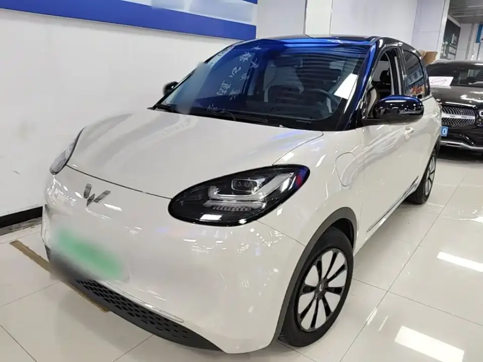 Wuling Motors Wuling Bingo 410km Lingxi Premium Edition 2024