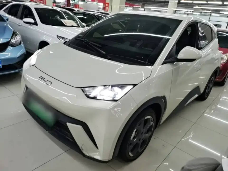 BYD Seagull 305km Freedom 2024