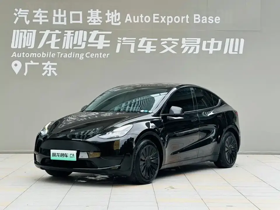 Tesla Model Y Rear-Wheel Drive Version 2022