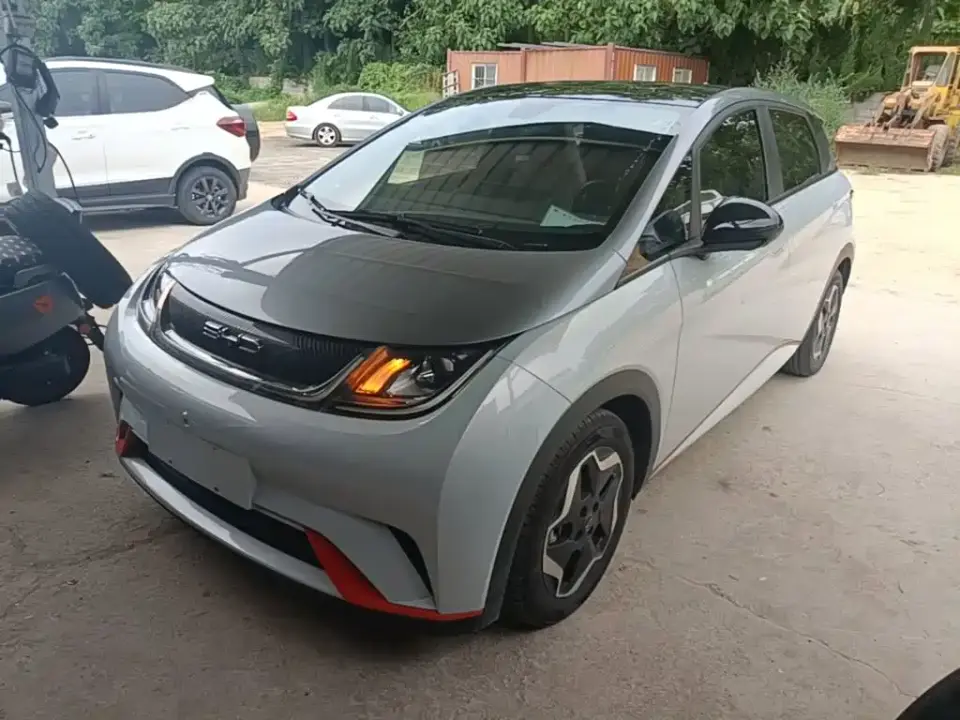 BYD Dolphin Model 405km Fashion Edition 2022