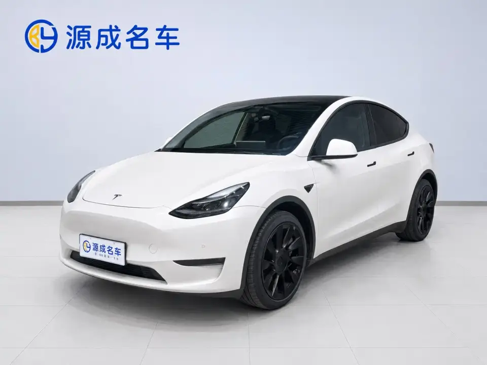 Tesla Model Y Long Range AWD 2022