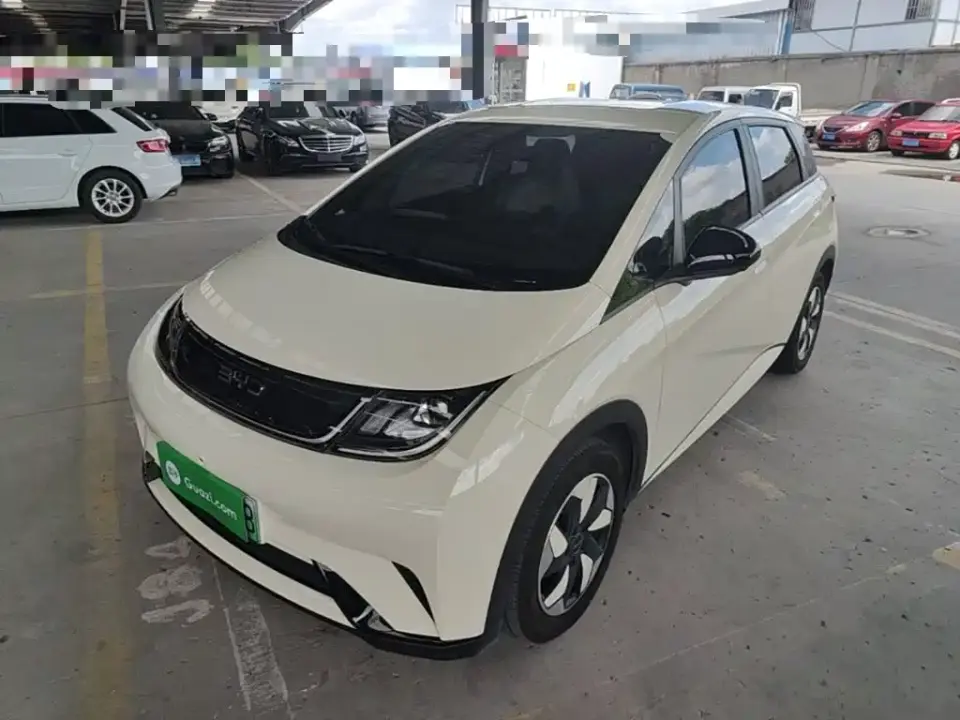 BYD Dolphin 420km Freedom Edition 2025