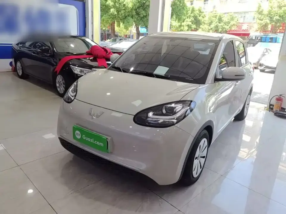 Wuling Motors Wuling Bingo 333km Quick Enjoy Version 2024