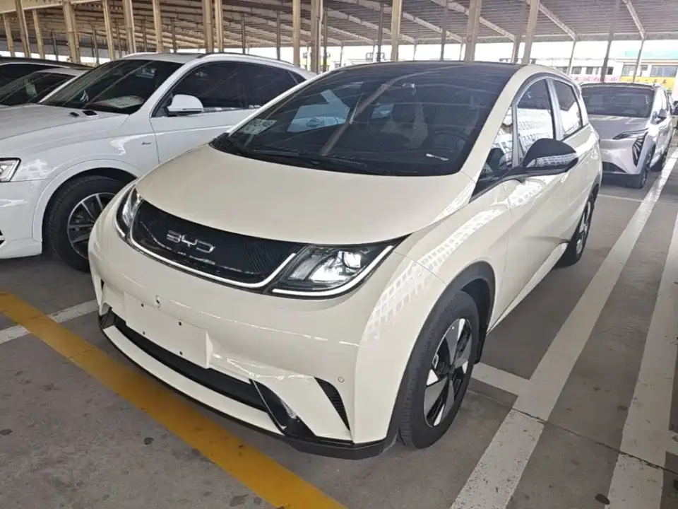 BYD Dolphin 420km Freedom Edition 2023