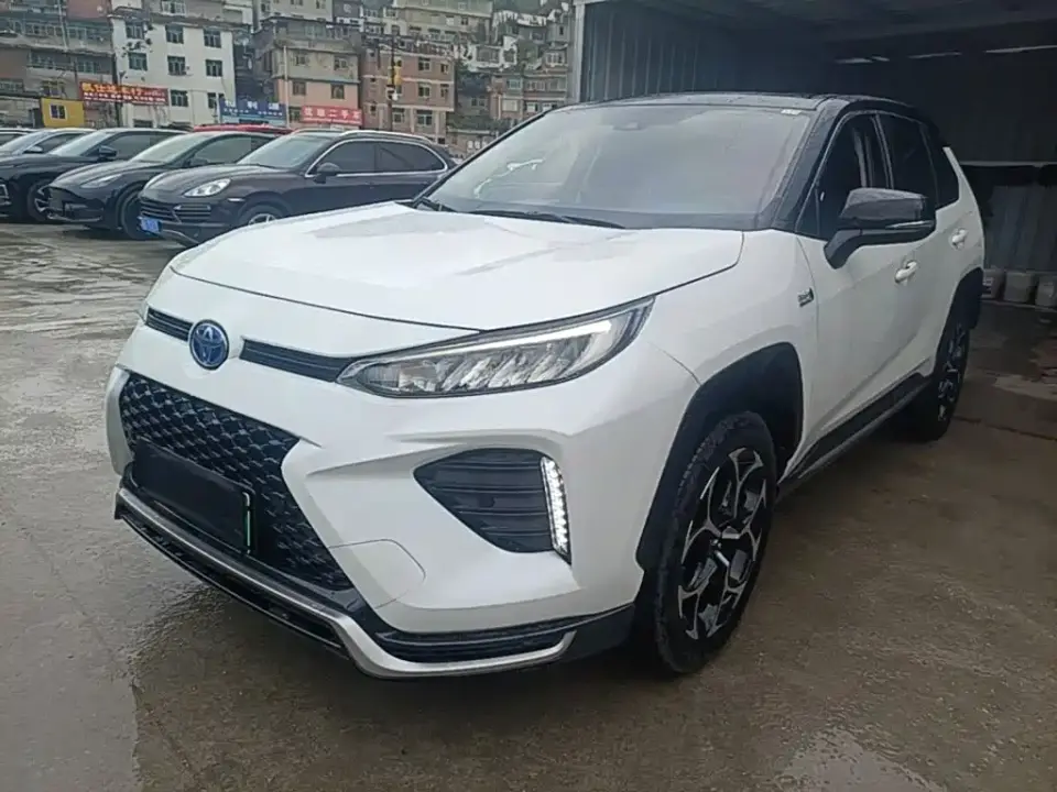 Toyota Wildlander New Energy High Performance Edition 2.5L AWD Power Version 2021