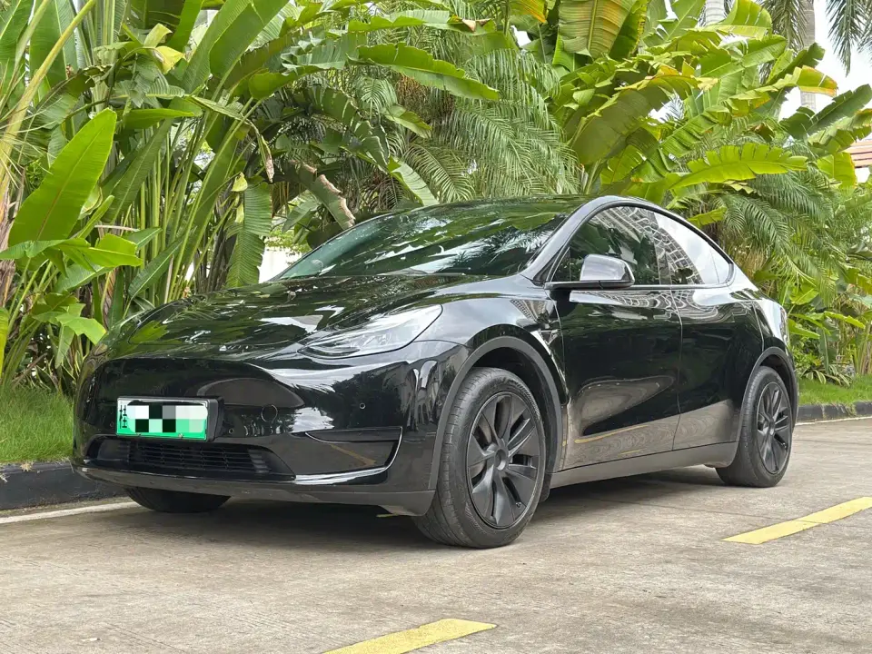 Tesla Model Y Rear-Wheel Drive Edition 2023