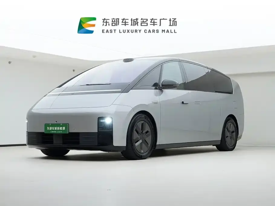 Li Auto MEGA Model Home Family Special Edition 2025
