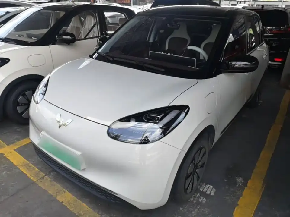 Wuling Motors Wuling Bingo 333km Smart Connect Edition 2024