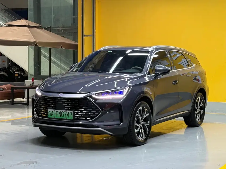 BYD Tang New Energy DM-i 115KM Prestige Type 2025