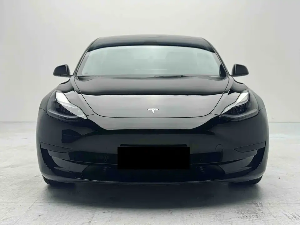 Tesla Model 3 Standard Range Rear-Wheel Drive Upgrade 2021