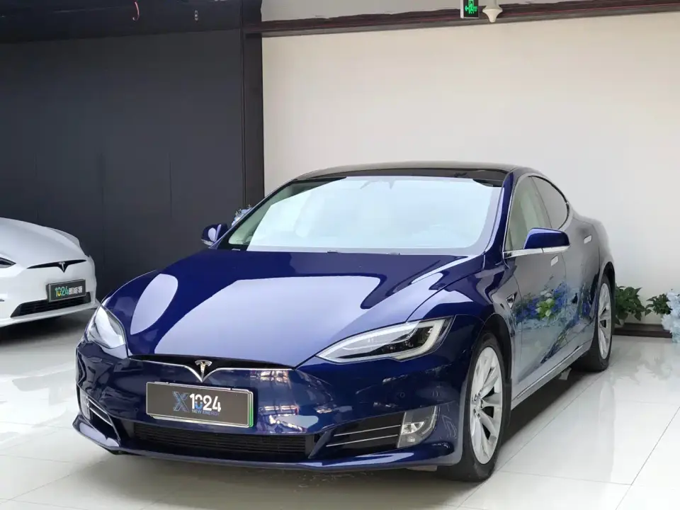 Tesla Model S Model S 100D 2019