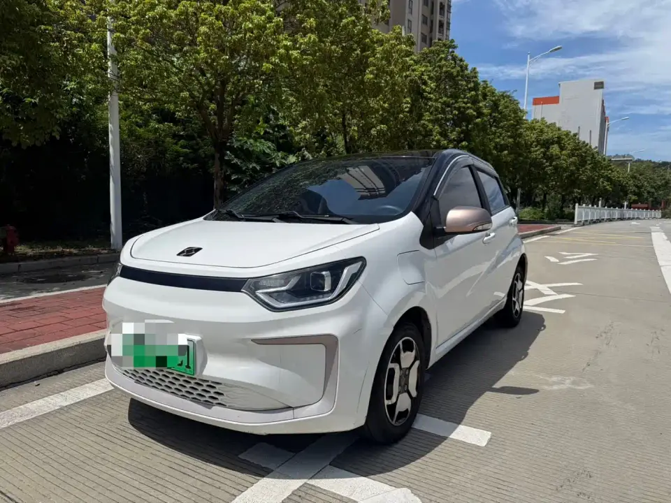 Sehol Flower Fairy 302km Surpass Edition 31.4kWh 2021