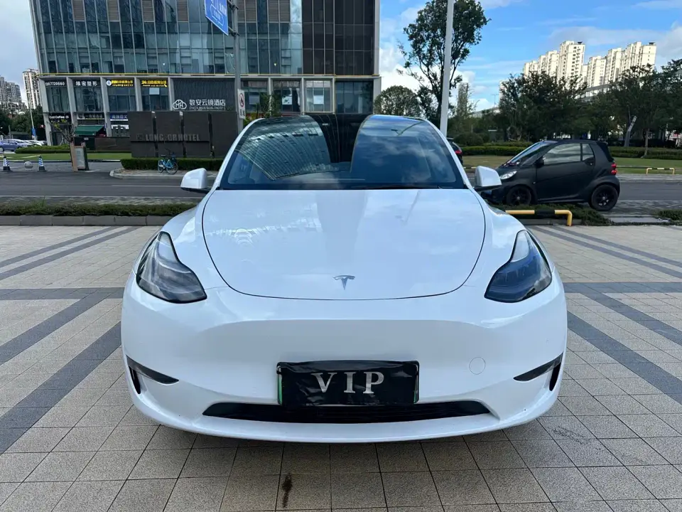Tesla Model Y Performance High-Performance All-Wheel Drive Version 2022