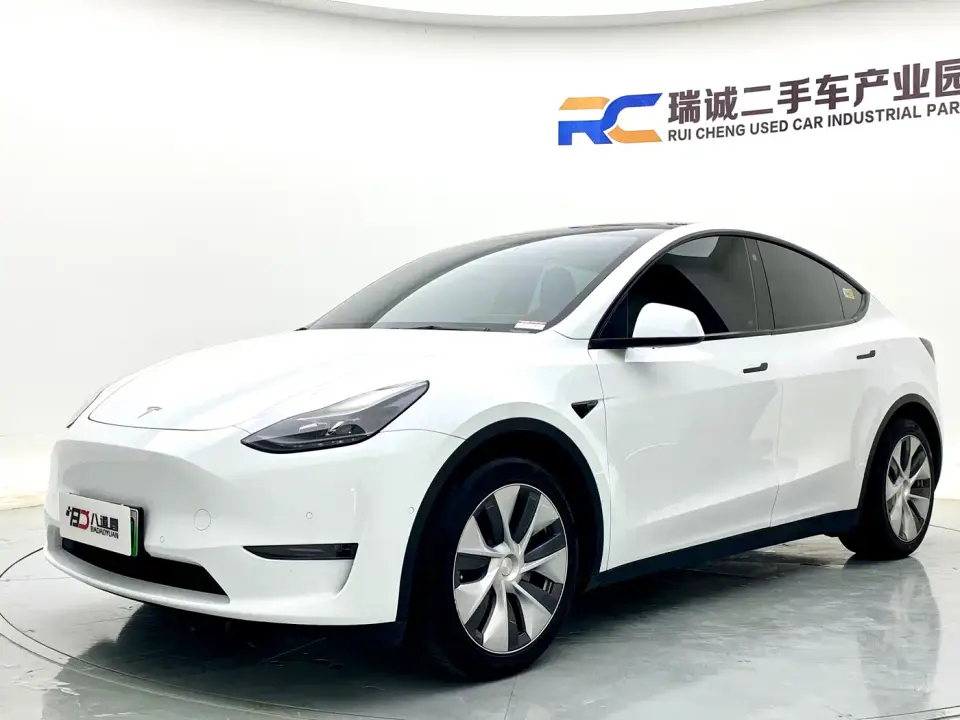Tesla Model Y Standard Range Rear-Wheel Drive 2021