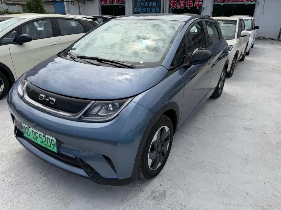 BYD Dolphin 420km Freedom Edition 2026