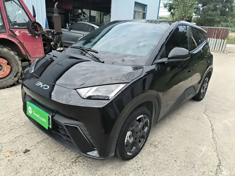BYD Seagull 305km Freedom 2025