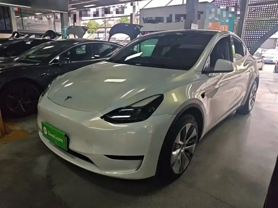 Tesla Model Y Rear-Wheel Drive Version 2022