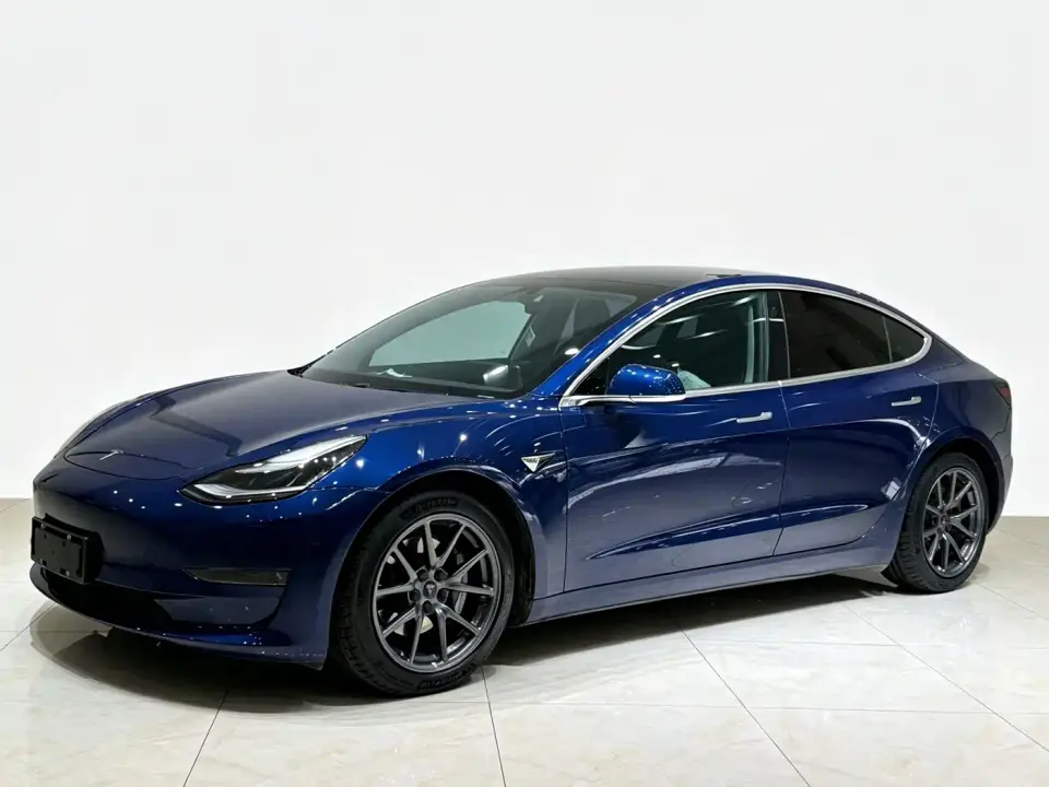 Tesla Model 3 (Import) Long Range RWD Version 2019