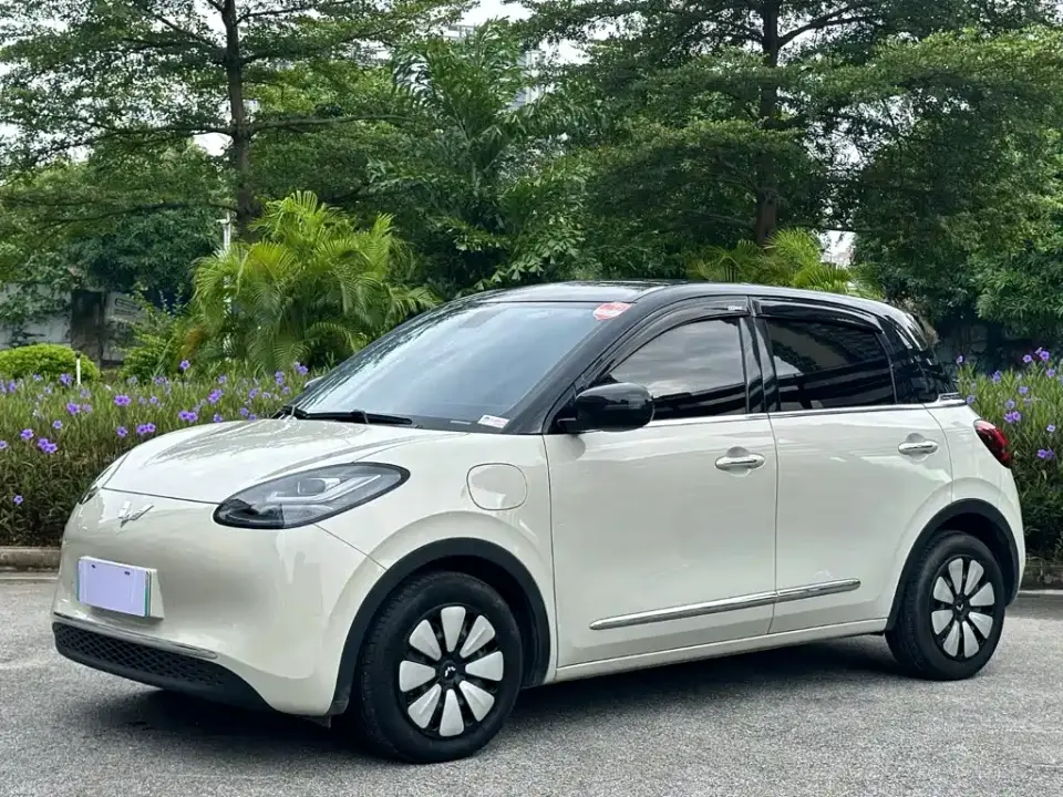 Wuling Motors Wuling Bingo 410km Smart Premium Edition 2024