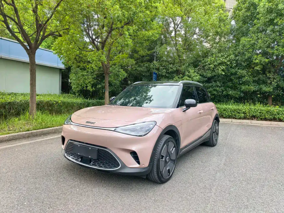 Smart Elf #1 Premium Edition 2024