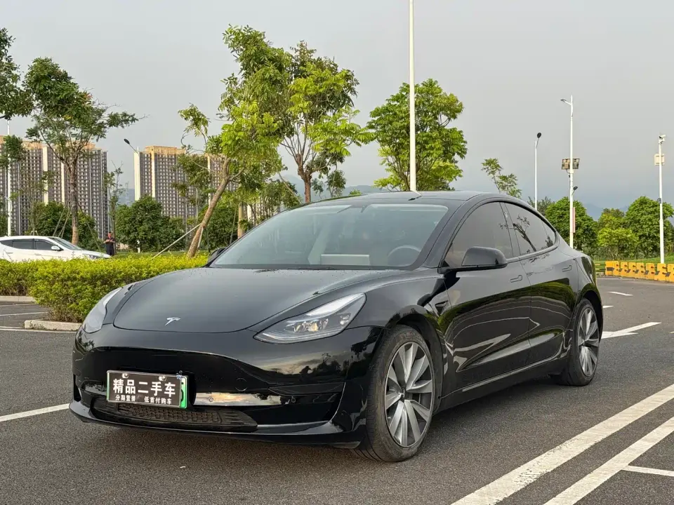Tesla Model 3 Standard Range Rear-Wheel Drive Upgrade 3D6 2021