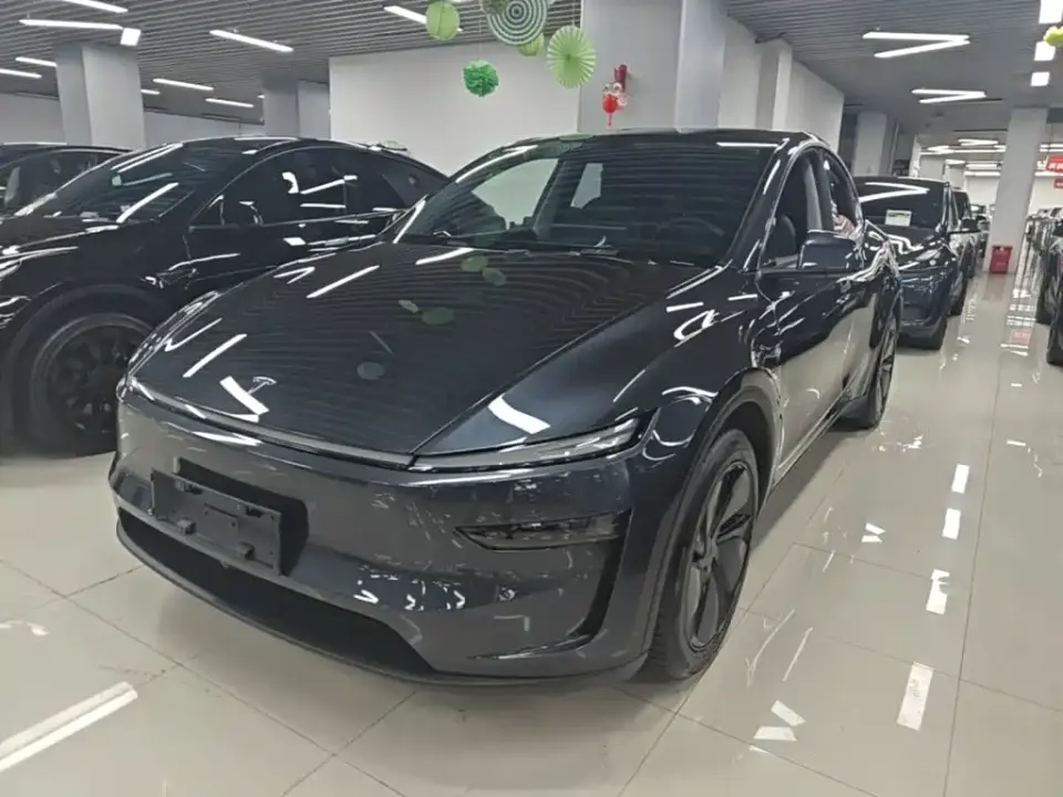 Tesla Model Y Long Range All-Wheel Drive 2025