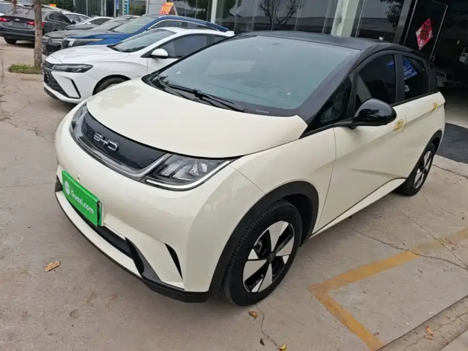 BYD Dolphin 420km Freedom Edition 2024
