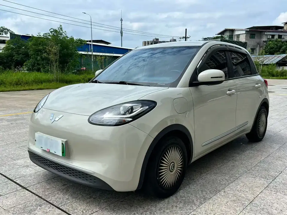 Wuling Motors Wuling Bingo 333km Quick Enjoy Version 2023