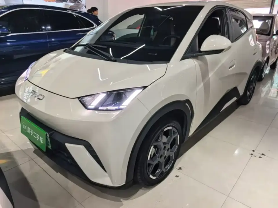 BYD Seagull 305km Freedom 2025