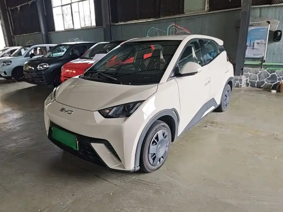 BYD Seagull Glory Edition 305km Vitality Edition 2024