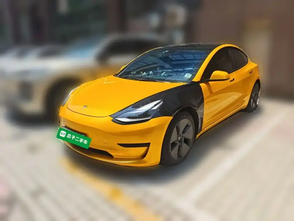 Tesla Model 3 Standard Range Rear-Wheel Drive Upgrade 3D6 2021