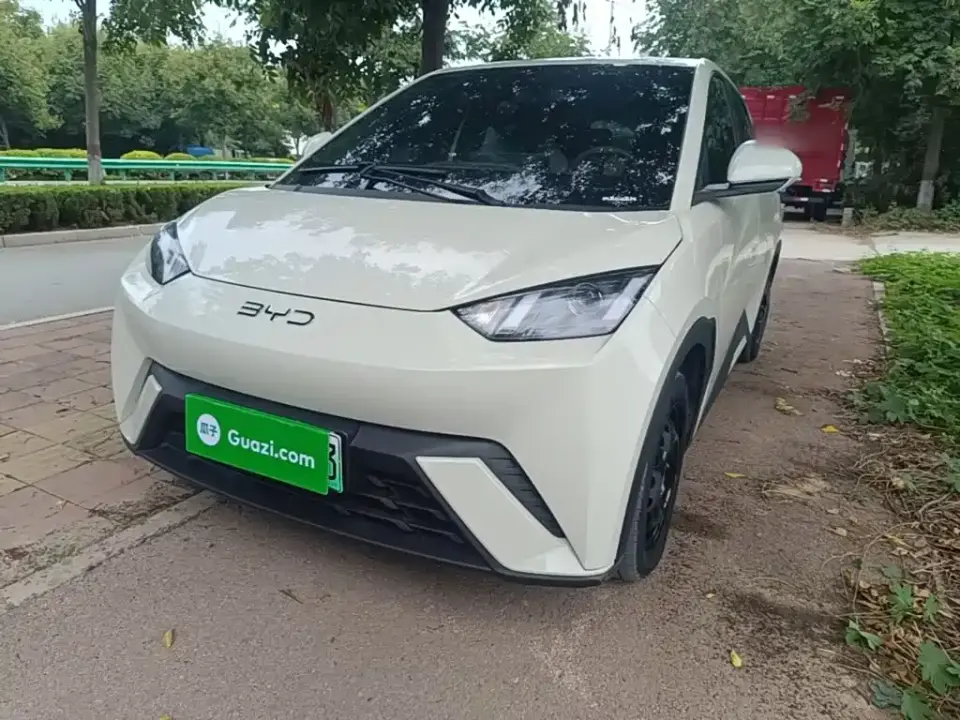 BYD Seagull Glory Edition 305km Vitality Edition 2024