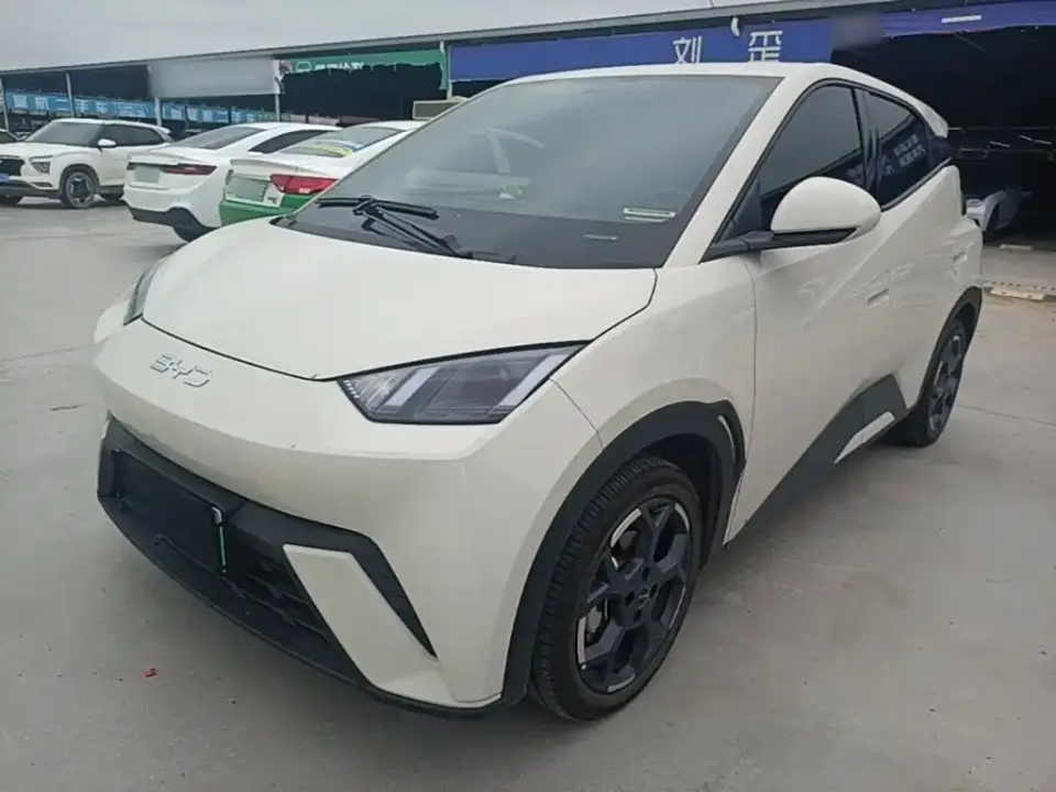 BYD Seagull Glory Edition 305km Freedom Edition 2025