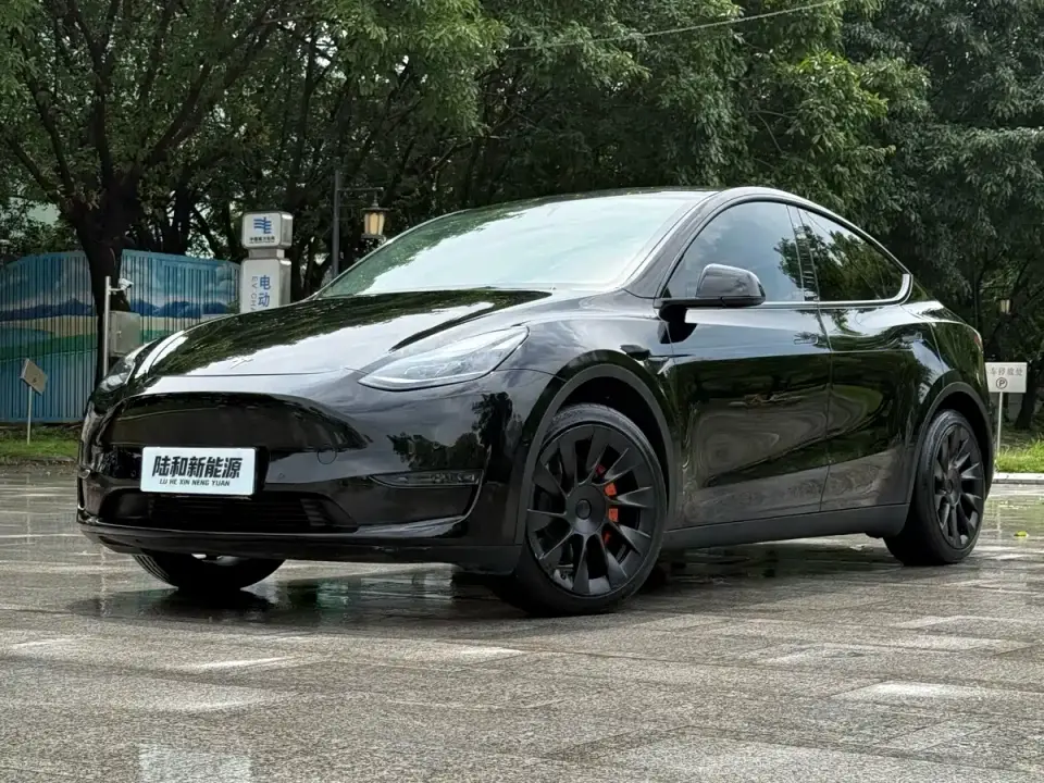 Tesla Model Y Standard Range Rear-Wheel Drive 2021