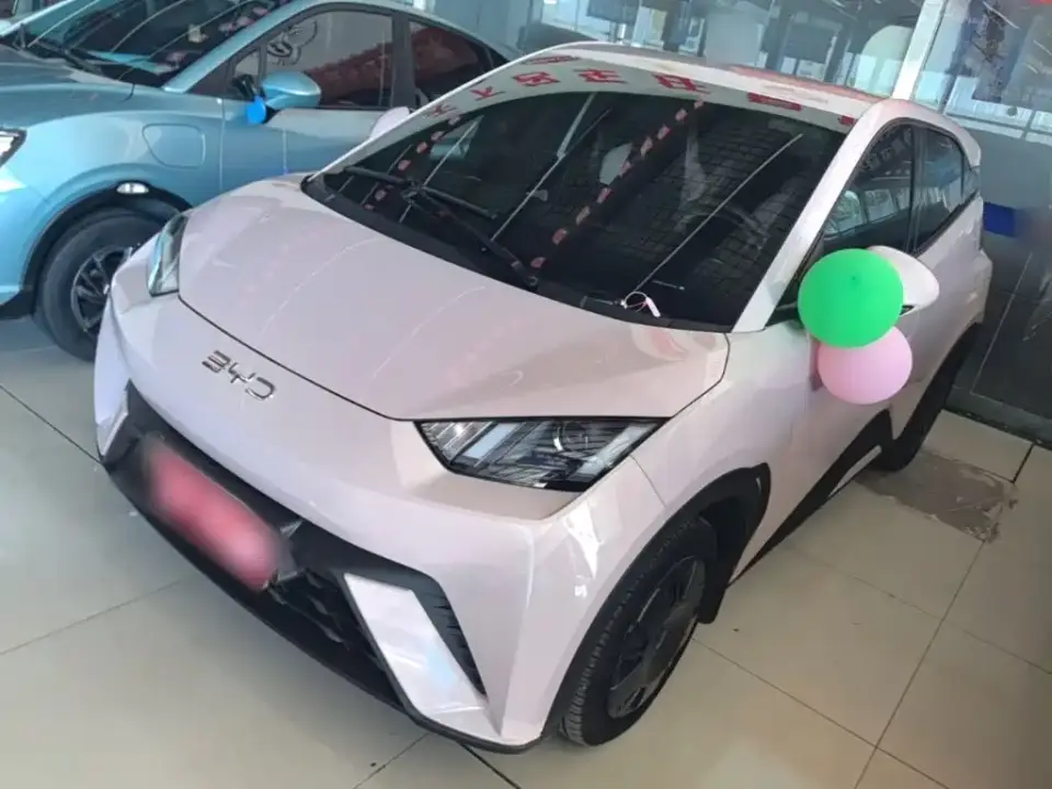 BYD Seagull Glory Edition 305km Vitality Edition 2024