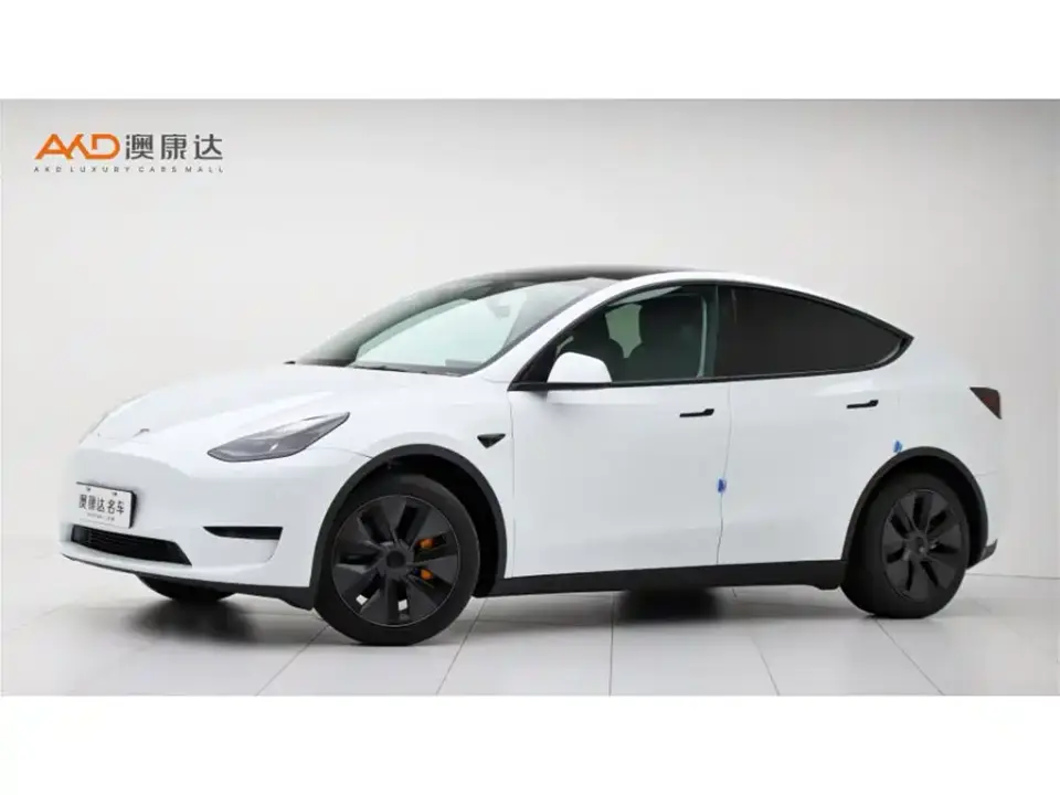 Tesla Model Y Rear-Wheel Drive Version 2024