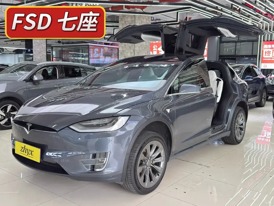 Tesla Model X Long Range Version 2021
