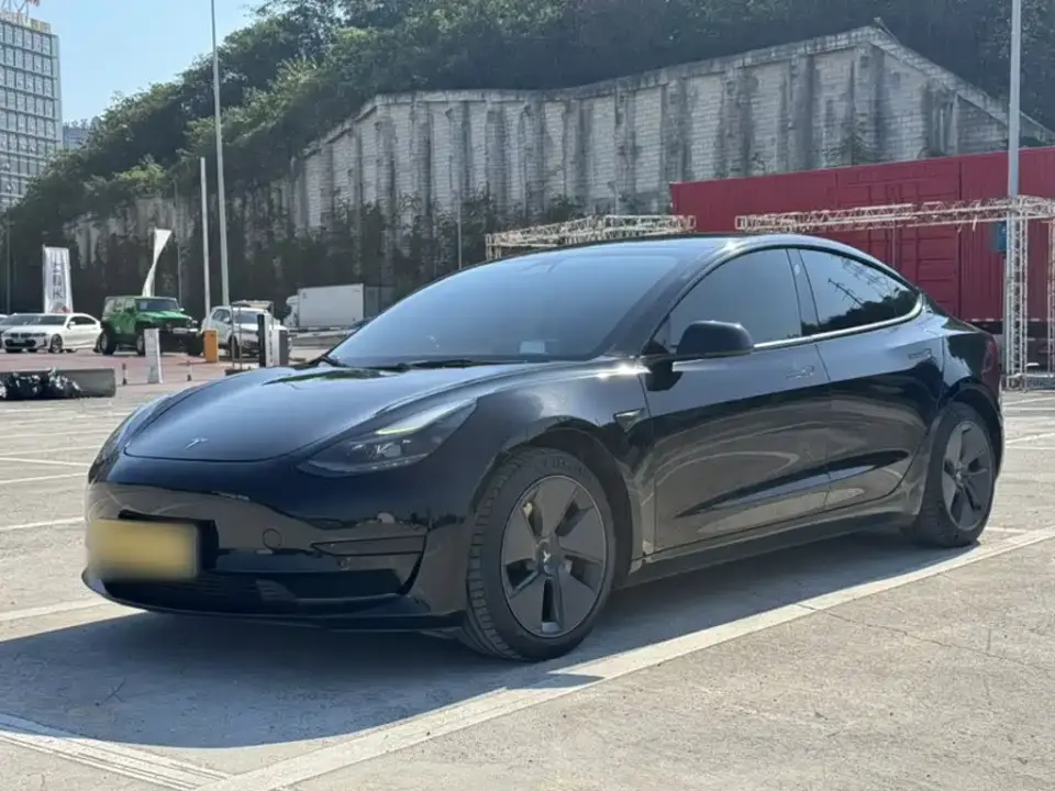 Tesla Model 3 Standard Range Rear-Wheel Drive Upgrade 3D6 2022