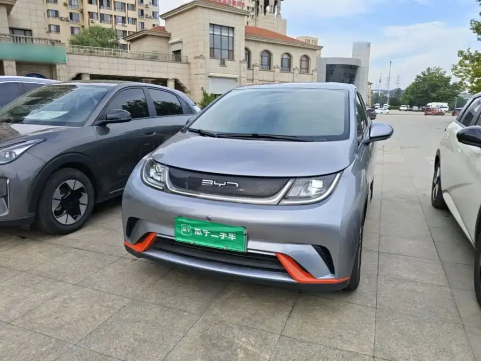 BYD Dolphin 405km Freedom Edition 2022