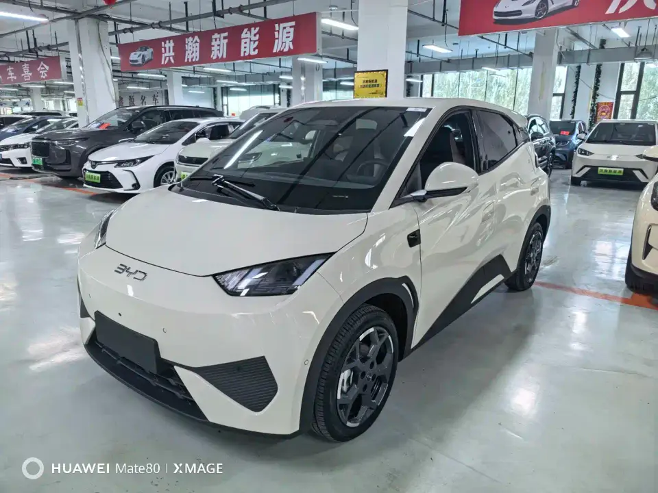 BYD Seagull Smart Drive Edition 305km Freedom Version 2025