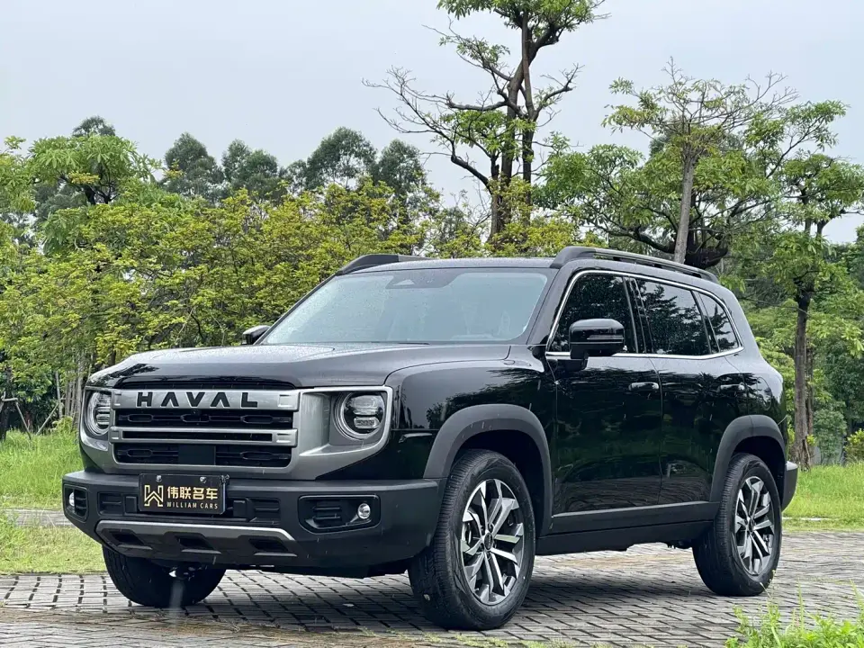 Haval Big Dog 1.5T DCT Border Collie Edition 2024