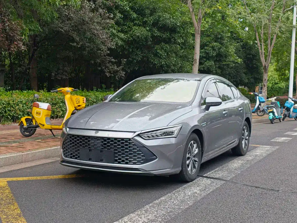 BYD Qin PLUS Glory Edition DM-i 55KM Leading 2024