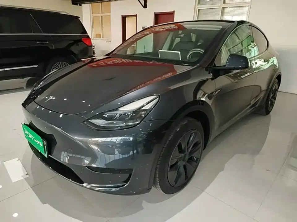 Tesla Model Y Rear-Wheel Drive Version 2025