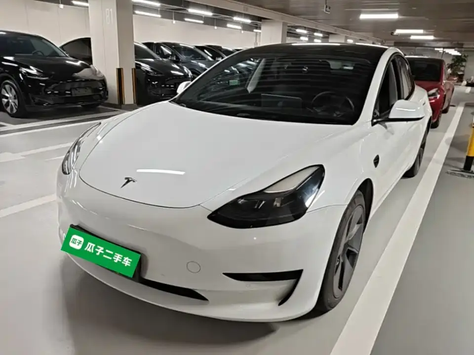 Tesla Model 3 Model Rear-Wheel Drive Version 2022