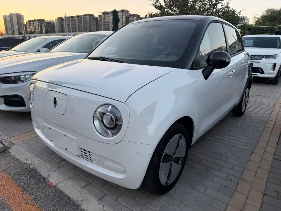 ORA Black Cat 301km Basic Model 2020