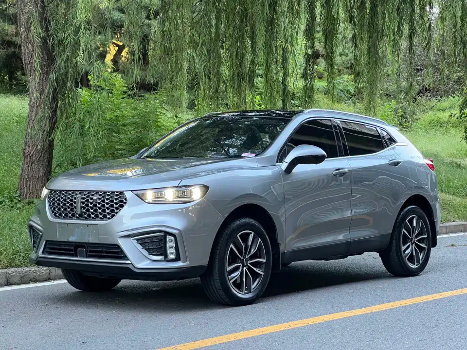 Wey VV5 1.5T 2WD Smart Pioneer 2021